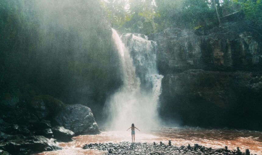 UBUD DAY TOUR